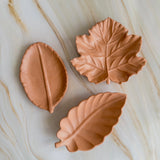 Autumn Leaf Trays | Jewelry Trinket Dish | Fall Colour Leaves