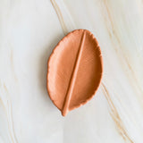 Autumn Leaf Trays | Jewelry Trinket Dish | Fall Colour Leaves