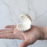 Seashell Ring Dish | Aesthetic Trinket Dish
