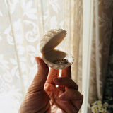 Seashell Ring Dish | Aesthetic Trinket Dish