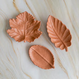 Autumn Leaf Trays | Jewelry Trinket Dish | Fall Colour Leaves