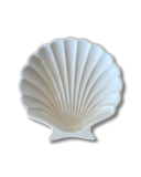 Small Seashell Trinket Dish