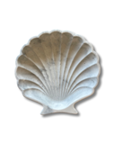 Small Seashell Trinket Dish